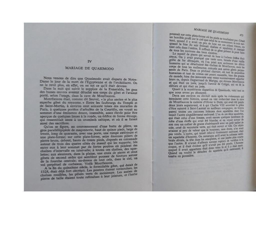 Livres occasion Hérault Castries - 34160 - Photos Vivastreet VICTOR HUGO - NOTRE DAME DE PARIS - Version luxe numérotée