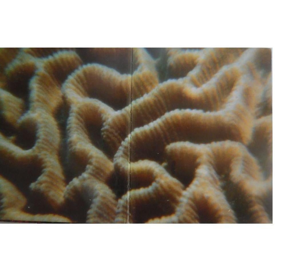 Livres occasion Hérault Castries - 34160 - Photos Vivastreet LES DEFIS DE L’OCEAN - MONIQUE TOSELLO - EDITIONS STOCK