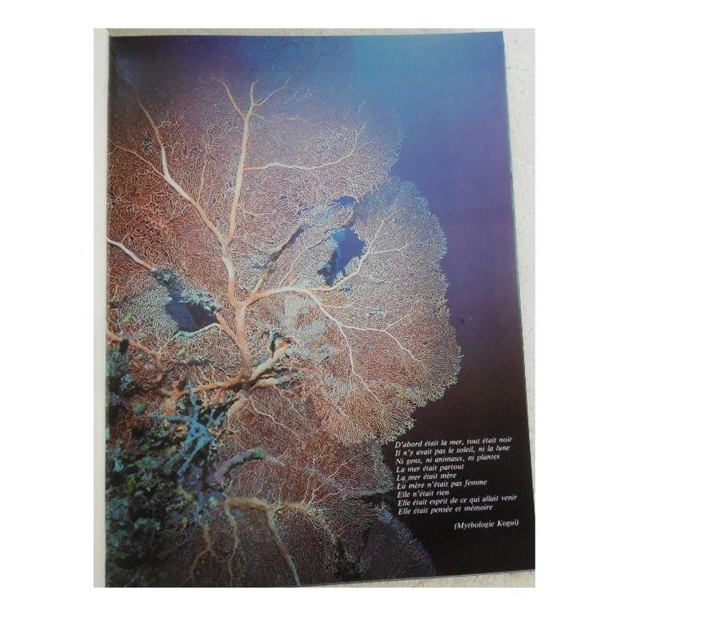 Livres occasion Hérault Castries - 34160 - Photos Vivastreet LE LIVRE D’OR DE LA PLONGÉE - JACQUES DUMAS