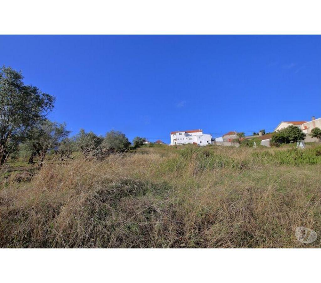 Terrain à vendre Portugal - Photos Vivastreet Terrain - Caldas da Rainha - 3724m2