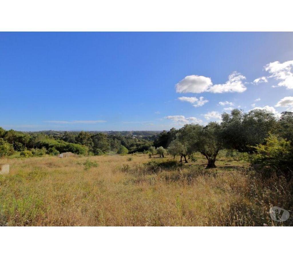 Terrain à vendre Portugal - Photos Vivastreet Terrain - Caldas da Rainha - 3724m2
