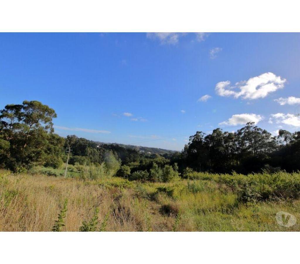 Terrain à vendre Portugal - Photos Vivastreet Terrain - Caldas da Rainha - 3724m2