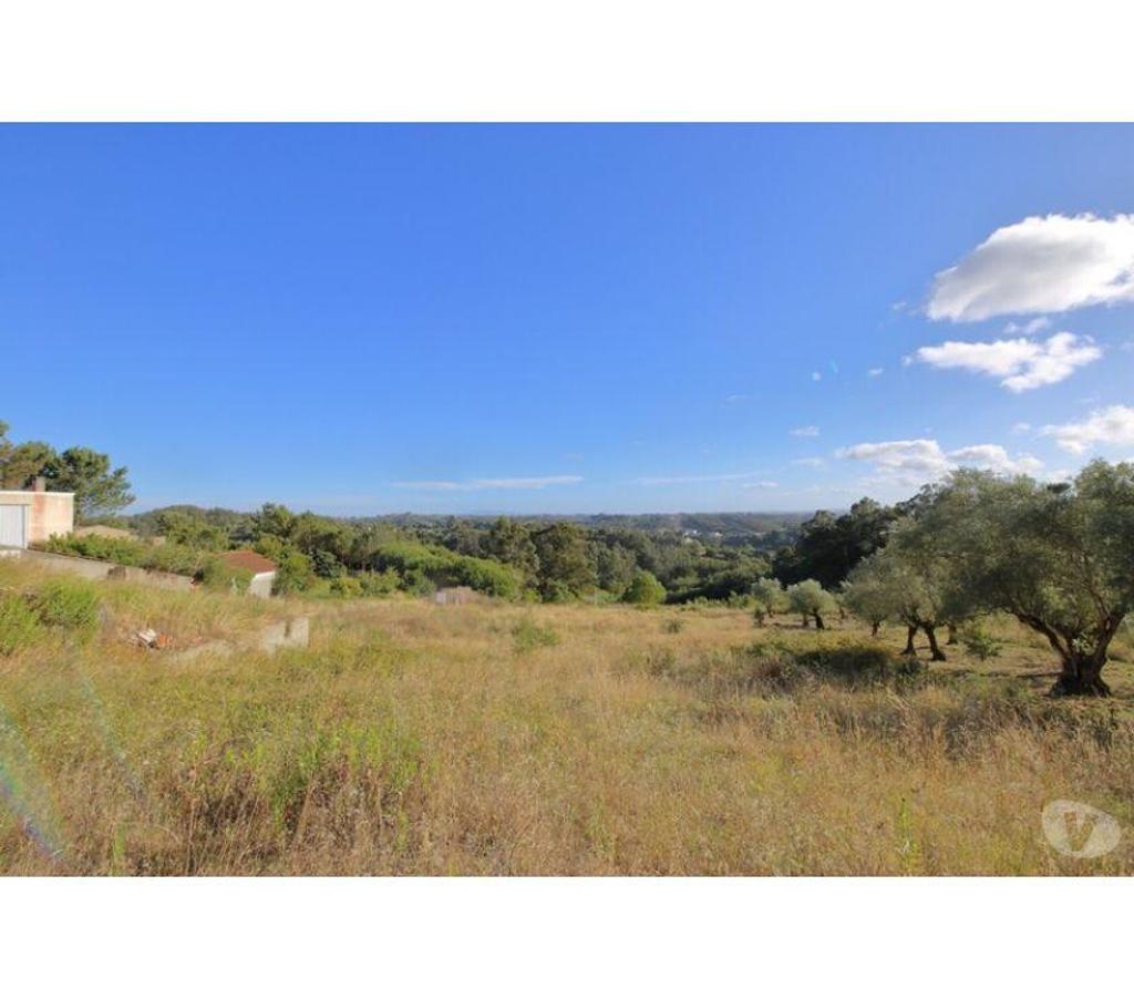 Terrain à vendre Portugal - Photos Vivastreet Terrain - Caldas da Rainha - 3724m2