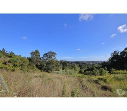 Terrain à vendre - Photos Vivastreet Terrain - Caldas da Rainha - 3724m2