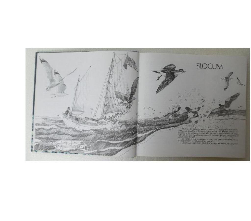 Livres occasion Hérault Castries - 34160 - Photos Vivastreet La voile en solitaire de Slocum a la transatlantique – Alain