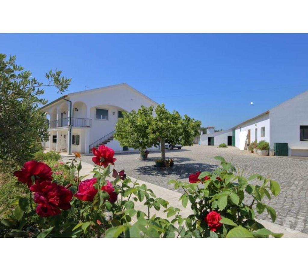 Vente Maison Portugal - Photos Vivastreet Maison - Santarï¿½m - 292m2