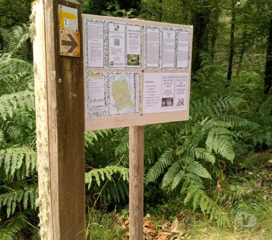 Autres sorties Finistère Scaer - 29390 - Photos Vivastreet SCAËR-FINISTERE SUD- CHASSE AUX TRESORS - CISTES