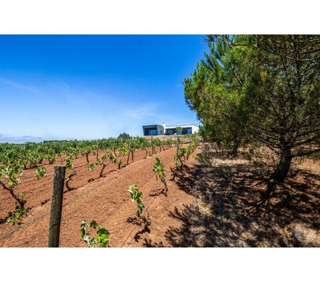 Vente Maison Portugal - Photos Vivastreet Maison - Cadaval - 270m2