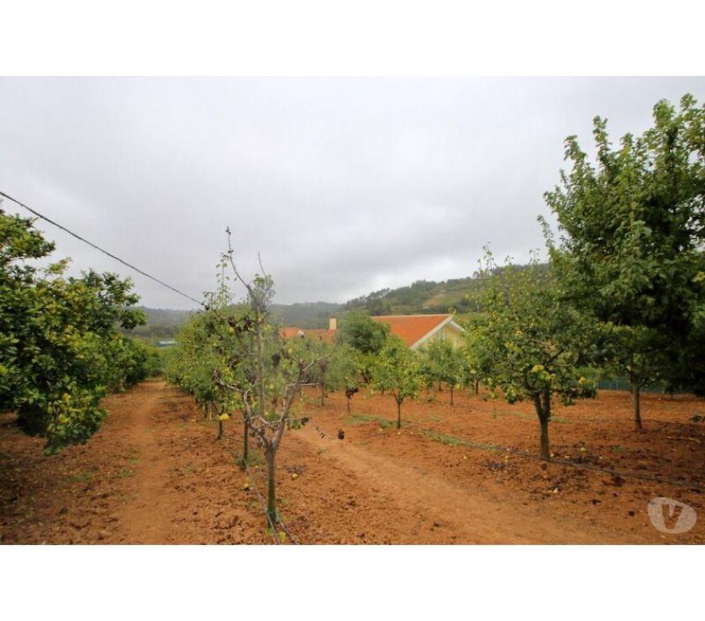 Vente Maison Portugal - Photos Vivastreet Maison - Caldas da Rainha - 400m2