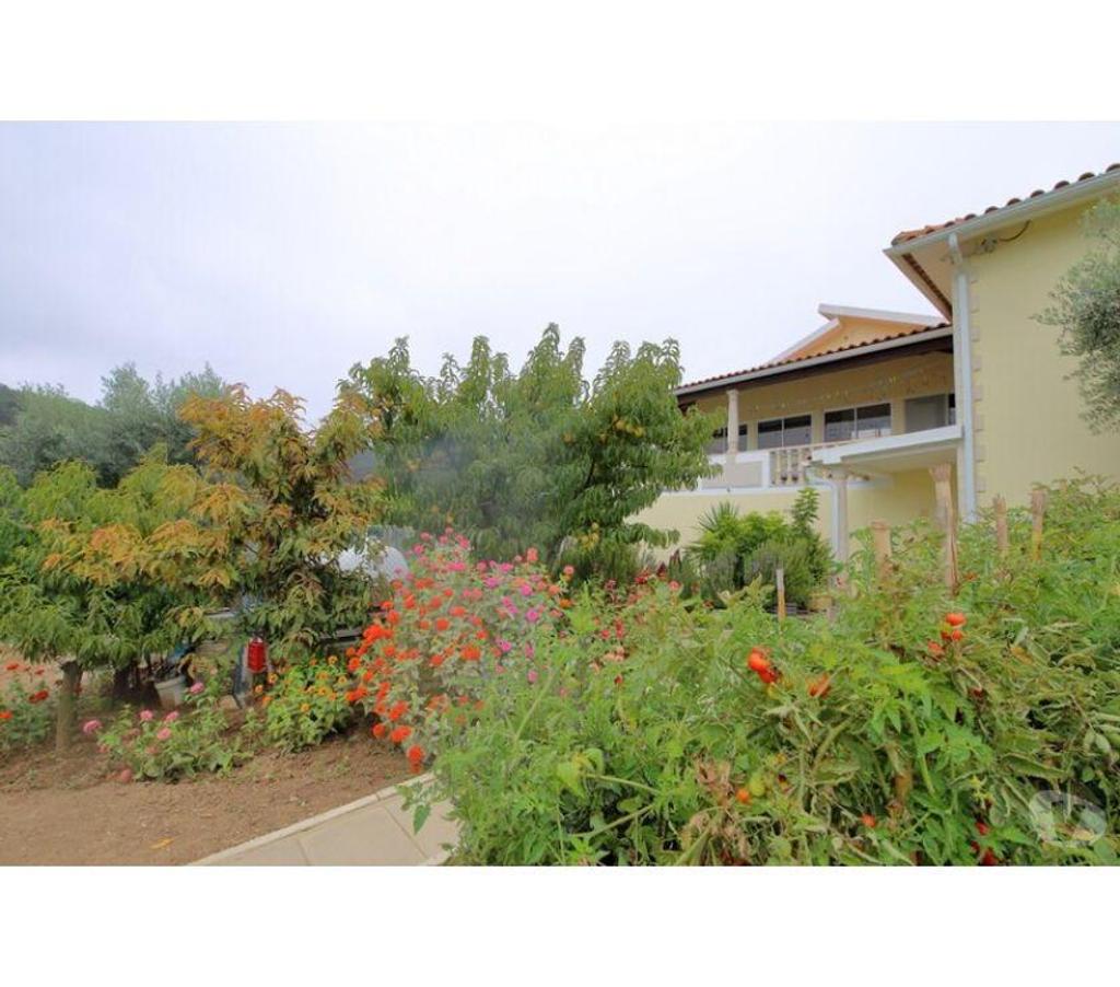 Vente Maison Portugal - Photos Vivastreet Maison - Caldas da Rainha - 400m2