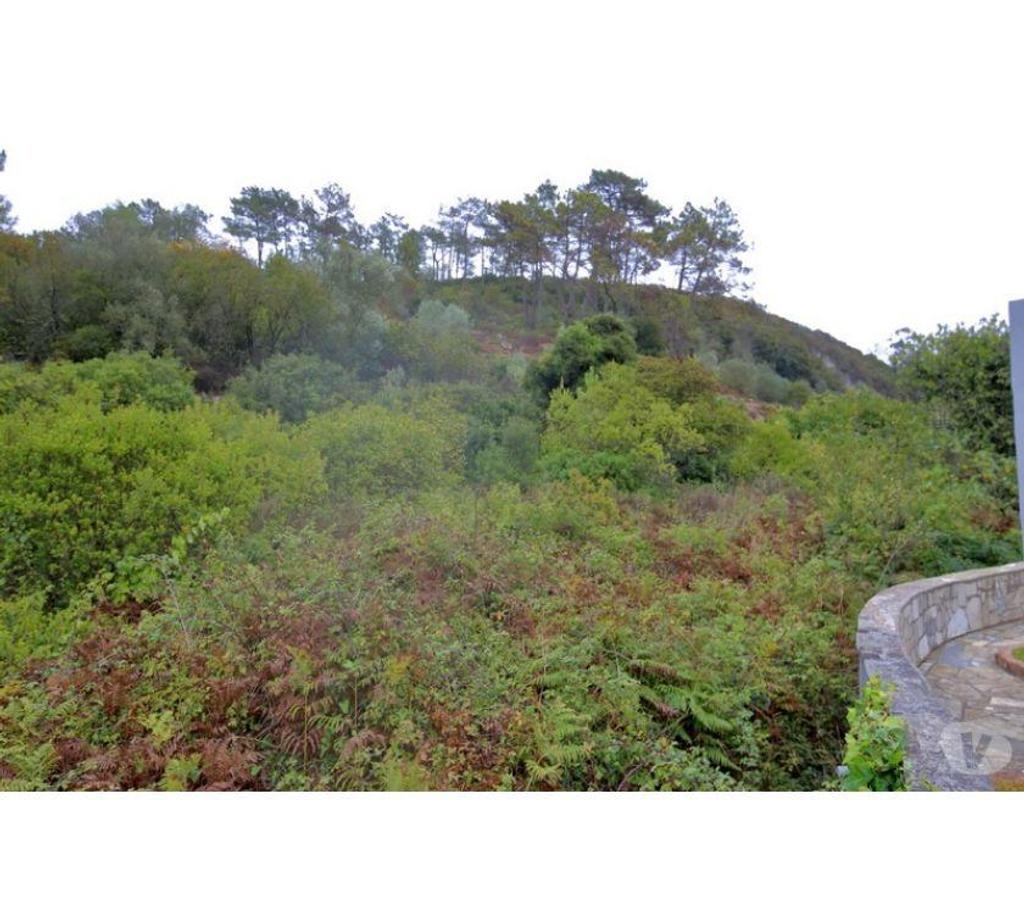 Terrain à vendre Portugal - Photos Vivastreet Terrain - Bombarral - 11440m2