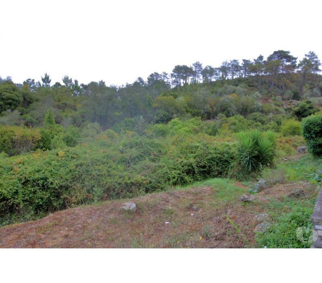 Terrain à vendre Portugal - Photos Vivastreet Terrain - Bombarral - 11440m2