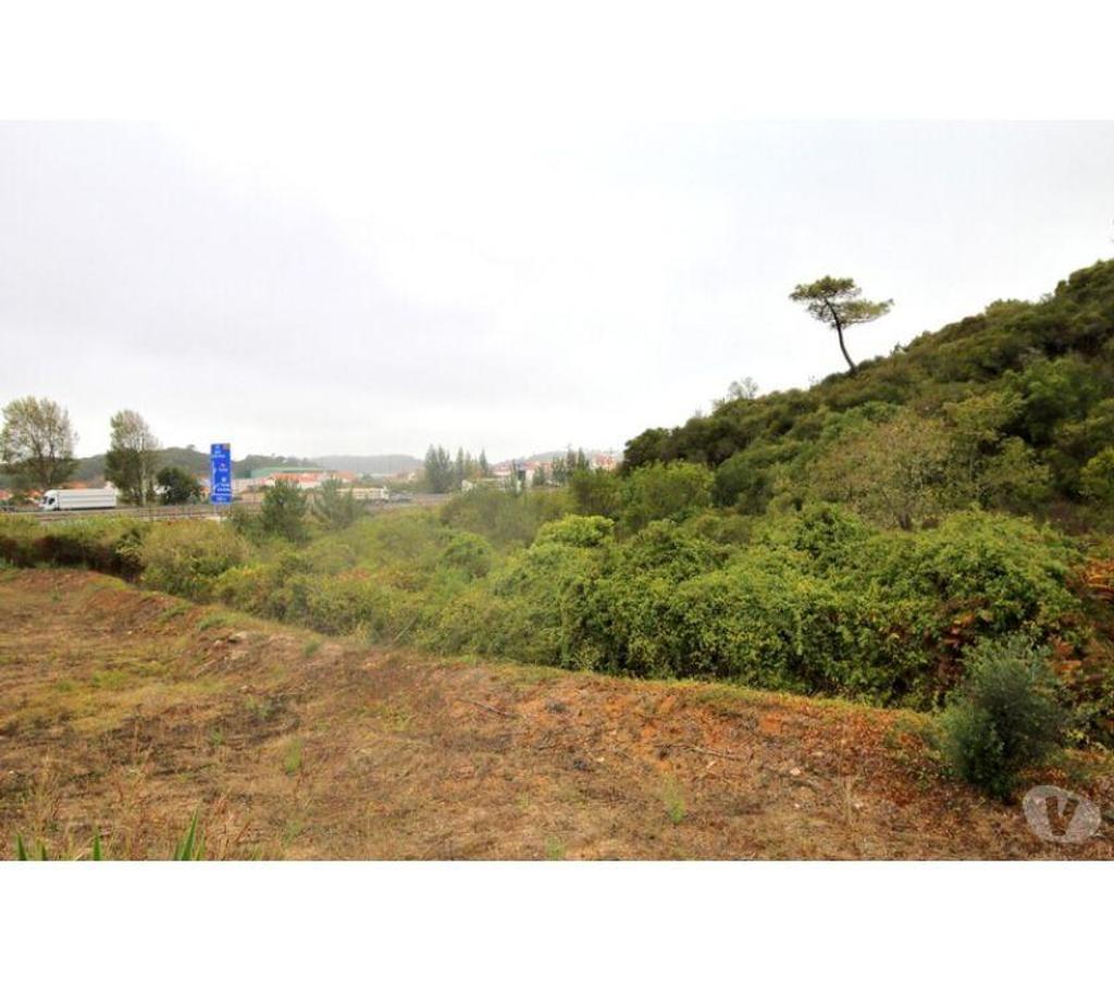 Terrain à vendre Portugal - Photos Vivastreet Terrain - Bombarral - 11440m2