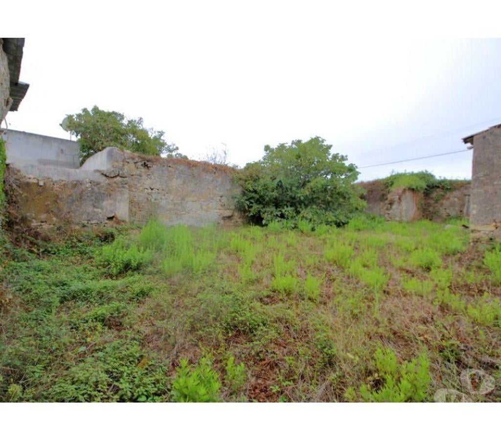 Vente Maison Portugal - Photos Vivastreet Maison - Bombarral - 220m2
