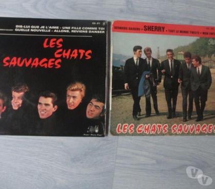 Collections Bornel Oise - Photos Vivastreet 2 Disques Les Chats Sauvage