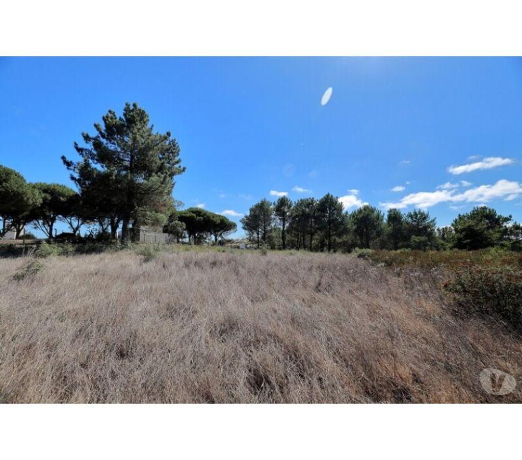 Terrain à vendre Portugal - Photos Vivastreet Terrain - Caldas da Rainha - 7374m2