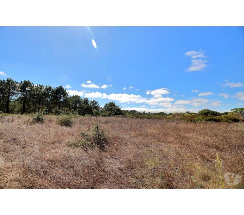 Terrain à vendre Portugal - Photos Vivastreet Terrain - Caldas da Rainha - 7374m2
