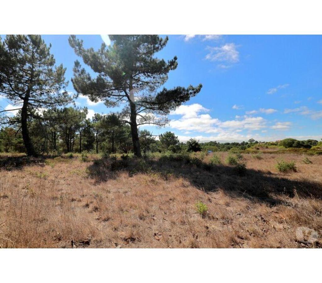 Terrain à vendre Portugal - Photos Vivastreet Terrain - Caldas da Rainha - 7374m2