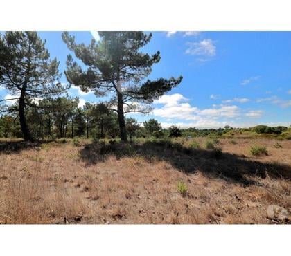 Terrain à vendre - Photos Vivastreet Terrain - Caldas da Rainha - 7374m2