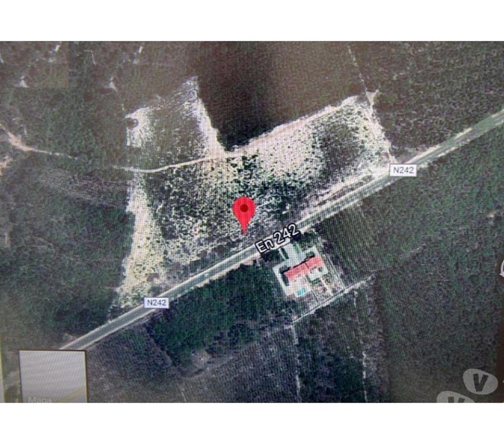 Terrain à vendre Portugal - Photos Vivastreet Terrain - Alcobaï¿½a - 34707m2