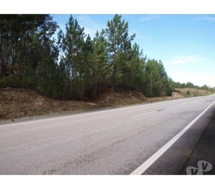Vente Terrain - Photos Vivastreet Terrain - Alcobaï¿½a - 34707m2