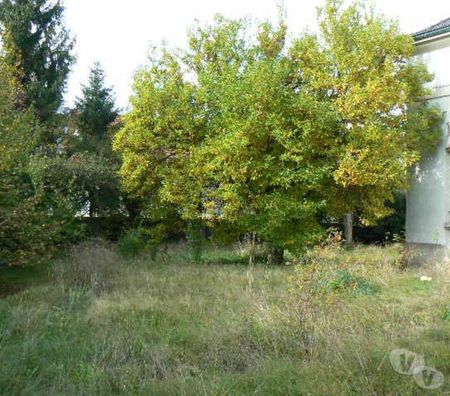 Vente Maison Vosges Le Thillot - 88160 - Photos Vivastreet vds belle batisse art déco 1920 