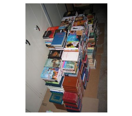 Livres occasion Essonne Quincy sous Senart - 91480 - Photos Vivastreet Livre grosse quantité