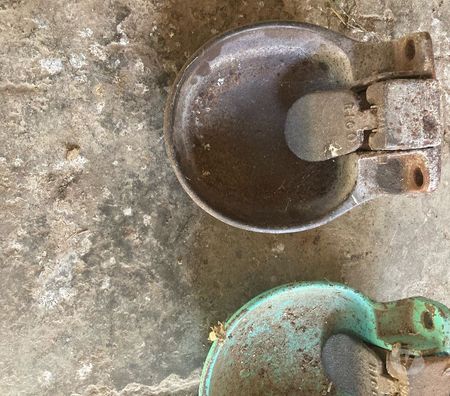 Services, accessoires animaux Charente-Maritime St Agnant - 17620 - Photos Vivastreet abreuvoirs