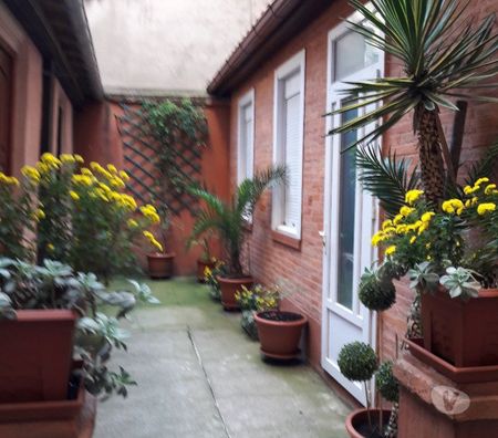 Appartements à vendre Haute-Garonne Toulouse - Photos Vivastreet vend chartreuse meublée T2