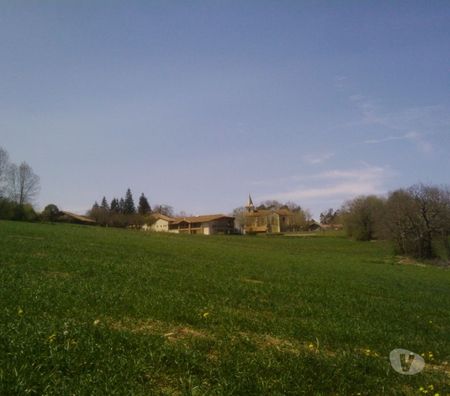 Terrain à vendre Haute-Garonne Boudrac - 31580 - Photos Vivastreet vend 5040m2 terrain constructible + ruine