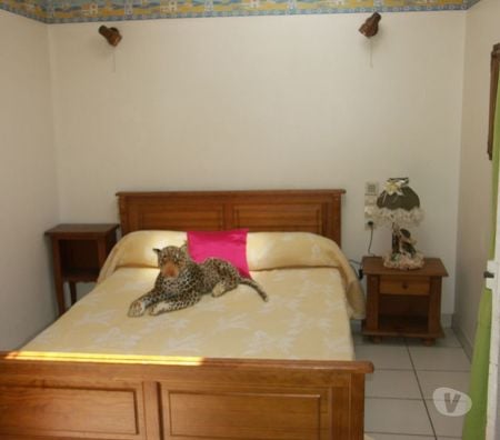 Location maison meublée Loire-Atlantique St Brevin les Pins - 44250 - Photos Vivastreet LOUE LOCATION 480 EUROS + CHARGES MITOYENNE REF 2 POUR 2 A 3