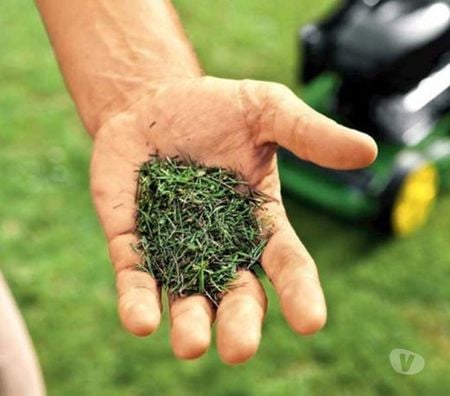  Meurthe-et-Moselle Nancy - Photos Vivastreet Tondeuse 100% Mulching LOCATION