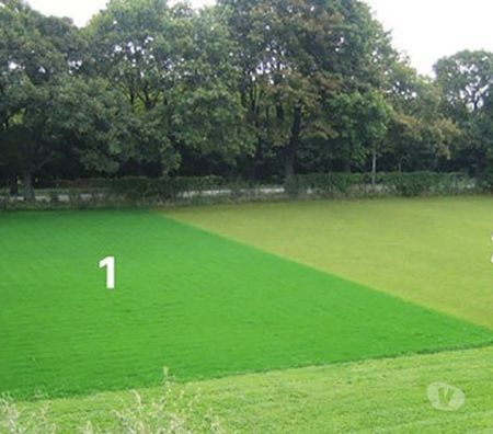  Meurthe-et-Moselle Nancy - Photos Vivastreet Tondeuse 100% Mulching LOCATION