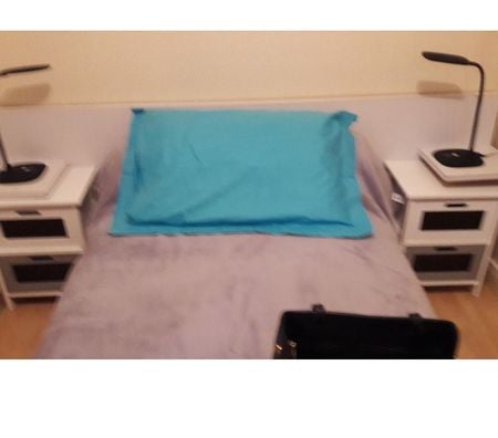 Appartement meublé Haute-Garonne Toulouse - Photos Vivastreet loue chartreuse meublée T2 
