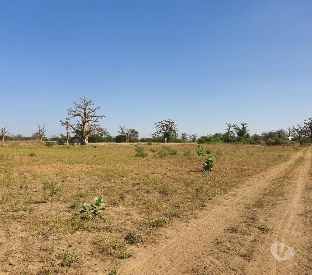 Vente Maison Sénégal - Photos Vivastreet villa sur 500 m2 de terrain a saly carrefour