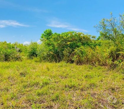 Vente Terrain - Photos Vivastreet Terrain de 1,5ha à vendre à Sandravoangy Sainte-Marie