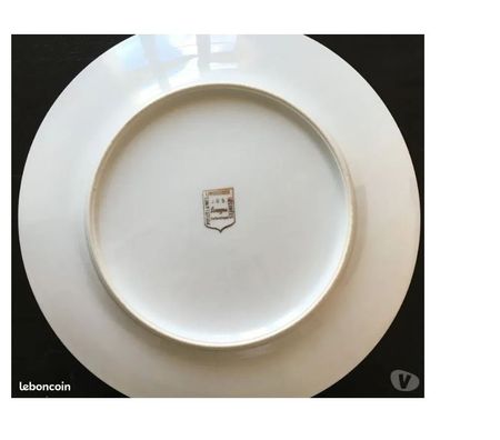 Collection Val-de-Marne Villejuif - 94800 - Photos Vivastreet Assiette en Porcelaines de 26cm -Buste de NAPOLÉON.