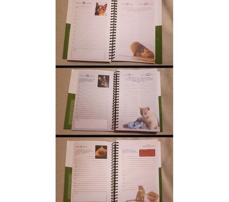 Livres occasion Gard Nimes - Photos Vivastreet Gros agenda de chats, photos et citations