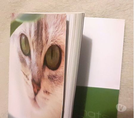 Livres occasion Gard Nimes - Photos Vivastreet Gros agenda de chats, photos et citations