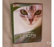 Gros agenda de chats, photos et citations