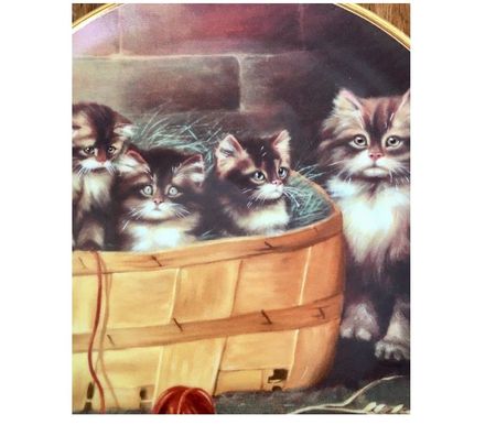 Collection Val-de-Marne Villejuif - 94800 - Photos Vivastreet Assiette de collection (Kittens in a Basket) par A.LESTER
