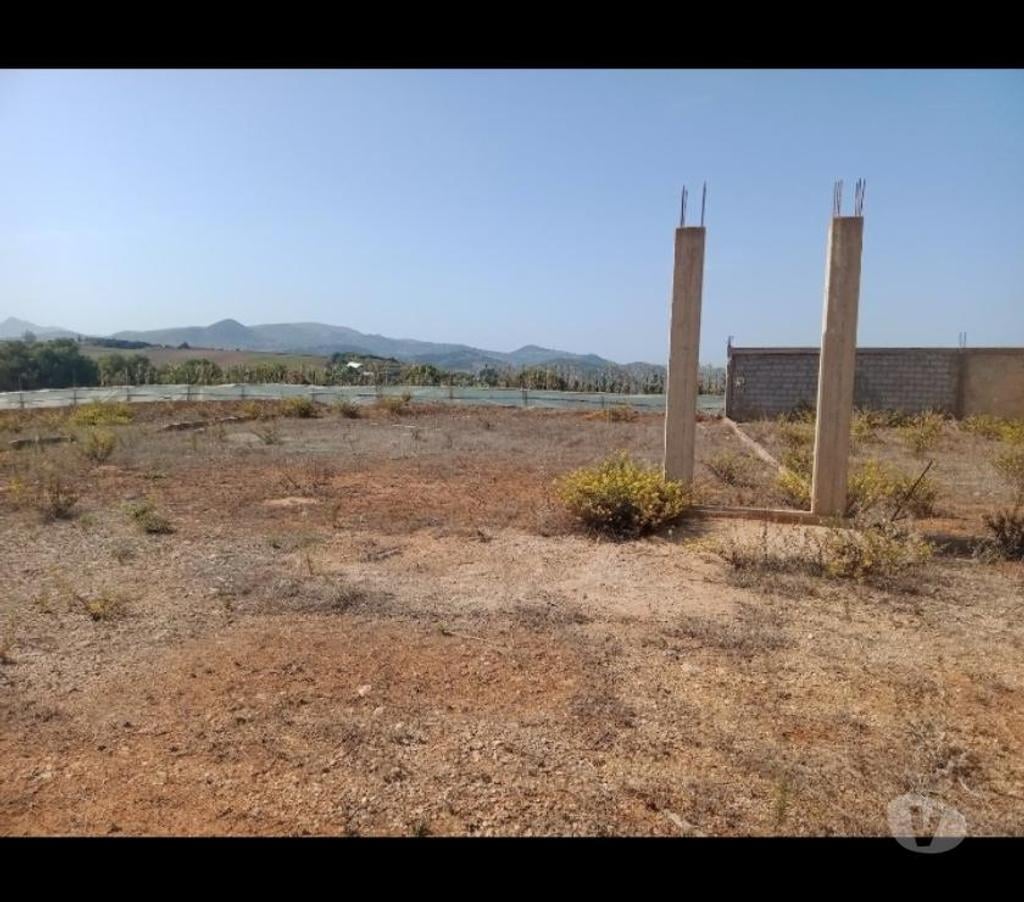 Terrain à vendre Algérie - Photos Vivastreet terrain constructible