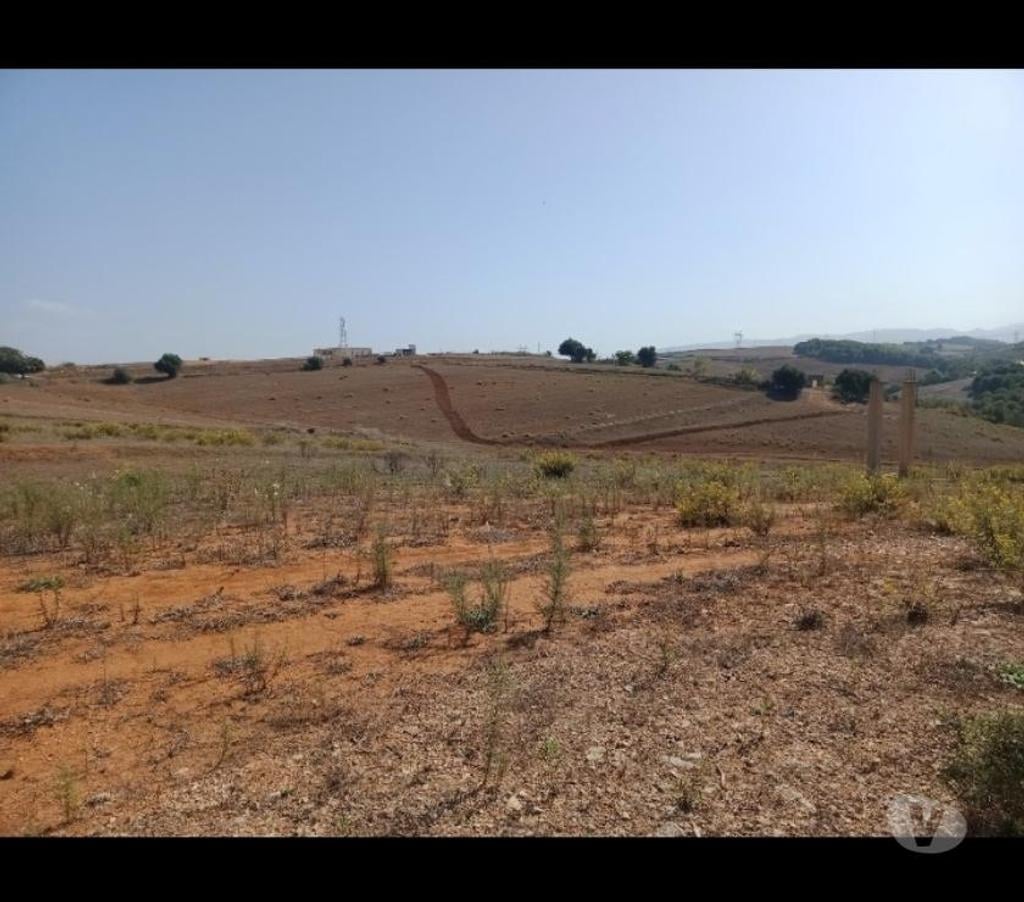 Terrain à vendre Algérie - Photos Vivastreet terrain constructible