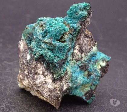 Collections Moyenmoutier Vosges - Photos Vivastreet Chrysocolle , Scott Mountains , Arizona , Etats-Unis 84gr