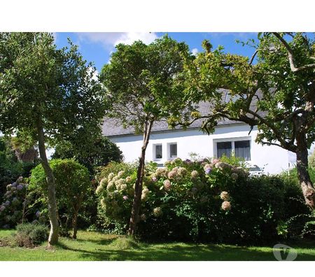 Appartement meublé Finistère Morlaix - 29600 - Photos Vivastreet C1 ch. (+kitchenette, sdb, jardin) MORLAIX Coatsehro