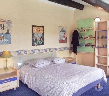 Vente Maison Haute-Garonne Lherm - 31600 - Photos Vivastreet Maison 17 pièces piscine près de Toulouse à Lherm