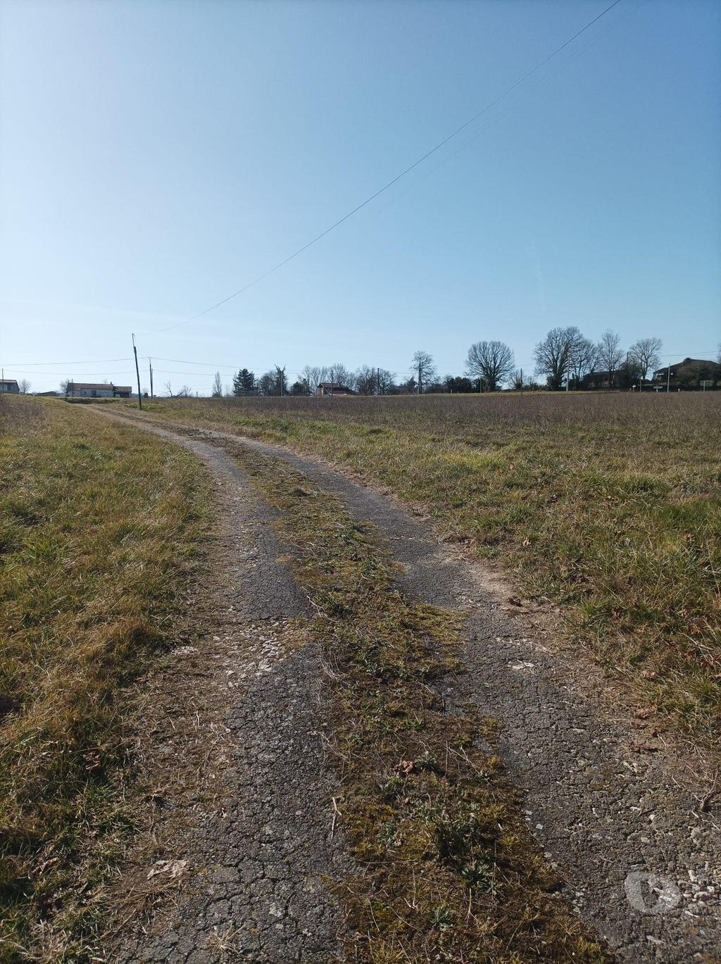Vente Maison Gers Masseube - 32140 - Photos Vivastreet GROS POTENTIEL Ferme à rénover sur 10Hectares