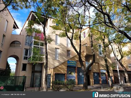 Vente Appartement Montpellier Montpellier - Photos Vivastreet 1 Pièce