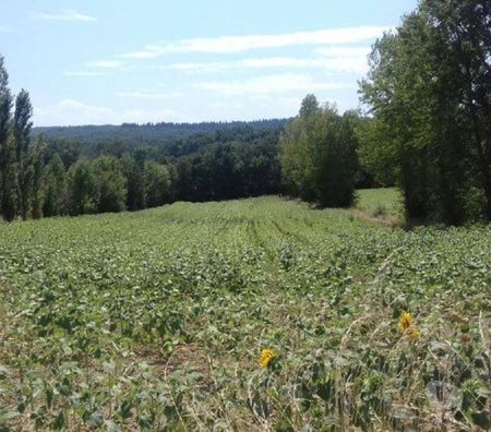 Terrain à vendre Aude Escueillens et St Just - Photos Vivastreet MAGNIFIQUE TERRAIN A BATIR