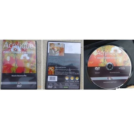 DVD occasion Vendée Soullans - 85300 - Photos Vivastreet DVD peinture très bon état